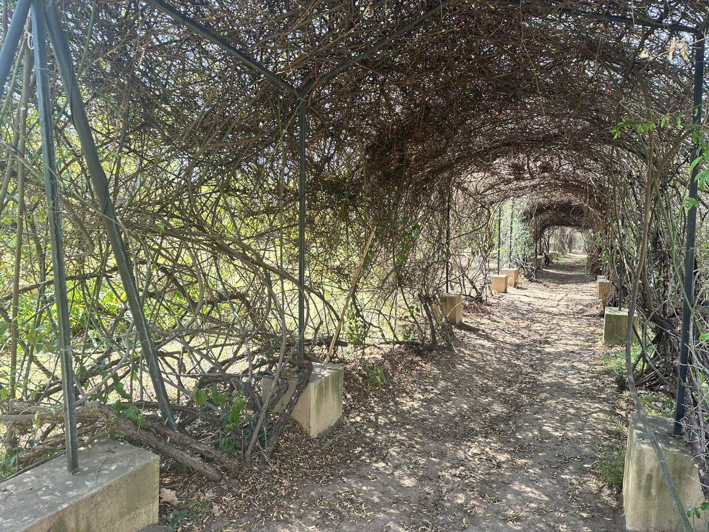 Outdoor dining in the castle garden